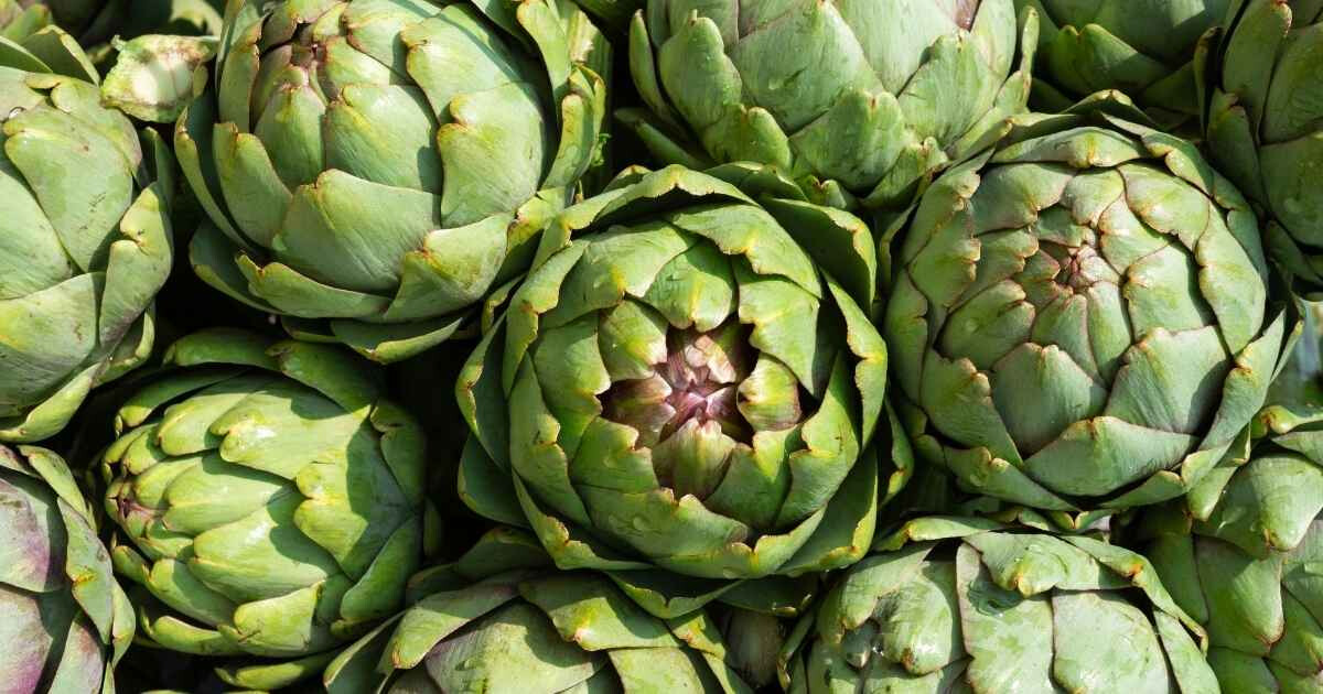 Artichaut bienfaits : ce légume cache 10 super-pouvoirs pour la santé