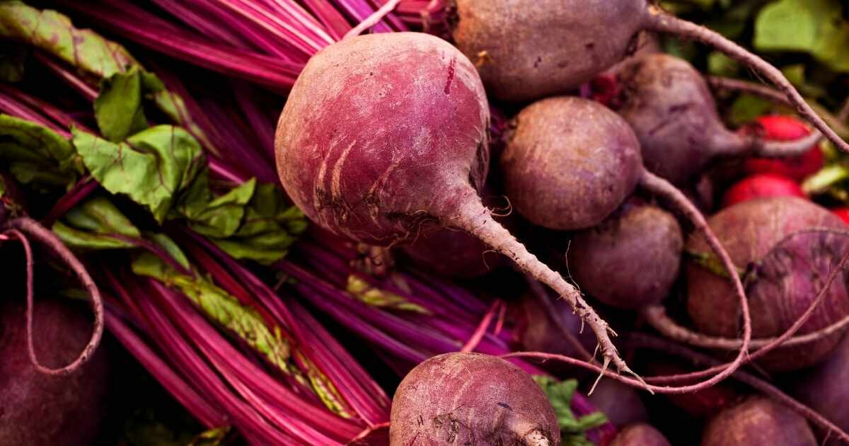 Image pour l'article Betterave bienfaits : ce légume banal cache 10 super-pouvoirs insoupçonnés