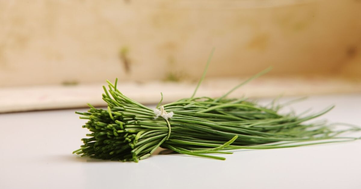 Image pour l'article Ciboulette bienfaits : cette herbe aromatique cache 8 propriétés insoupçonnées