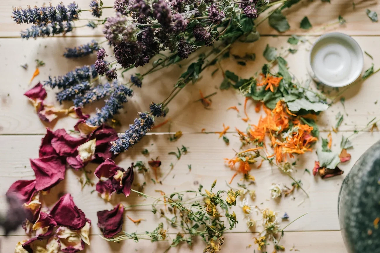 Article Naturopathe tarif : combien coûtent les séances de naturopathie et sont-elles remboursées ?