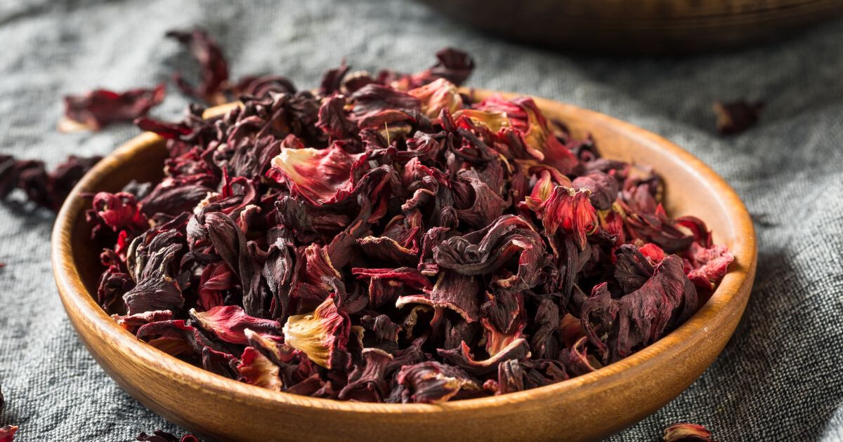 Image pour l'article 10 bienfaits de l'hibiscus que vous ignorez peut-être encore !