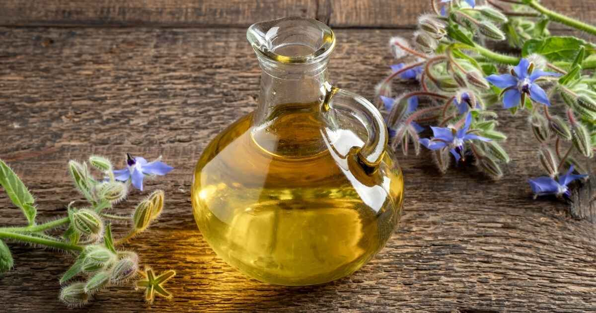 Image pour l'article Huile de bourrache : les 6 bienfaits exceptionnels de cette huile végétale