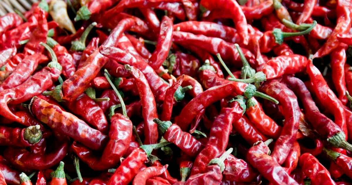 Image pour l'article Le piment est-il bon pour la santé ? Ce condiment brûlant cache 8 super-pouvoir insoupçonnés