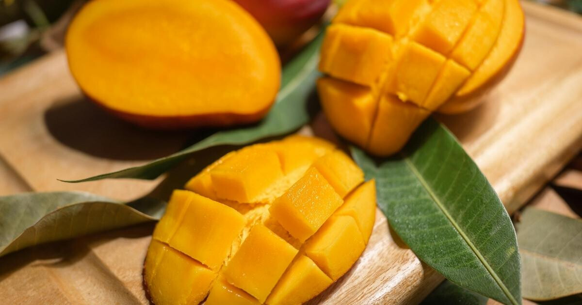 Image pour l'article Mangue bienfaits : ce fruit tropical cache 5 super-pouvoirs insoupçonnés