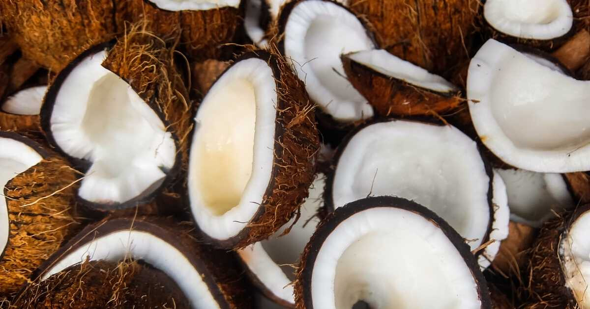 Noix de coco : ses bienfaits pour la santé à absolument connaître