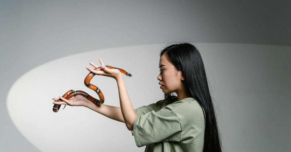 Image pour l'article Ophiophobie : 8 solutions naturelles et douces pour vous libérer définitivement de la peur des serpents